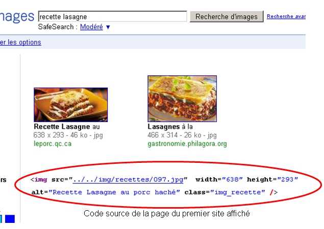 Recherche sur Google Image pour confirmer l'importance des balises ALT