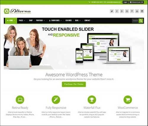 Alterna Responsive WordPress Theme