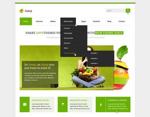 Juicy Responsive WordPress business themes
