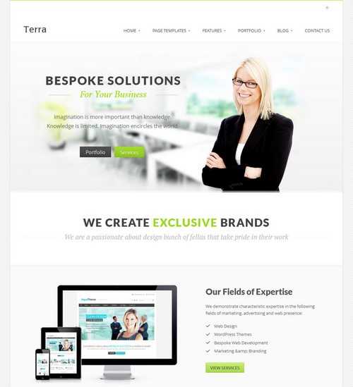 Terra Business WordPress Templete