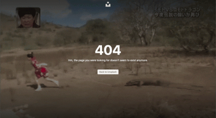 unsplash404-2-2835445