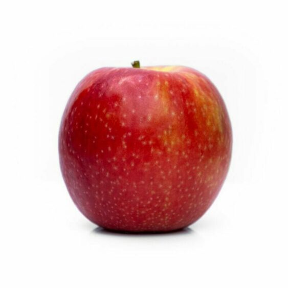 Photo by Amit Lahav red apple on white background